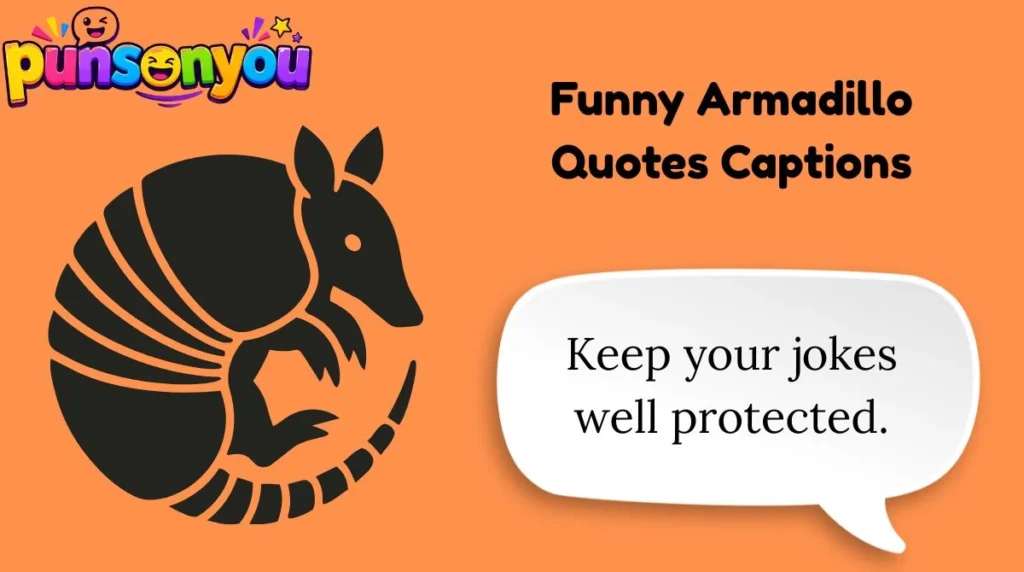 Funny Armadillo Quotes Captions