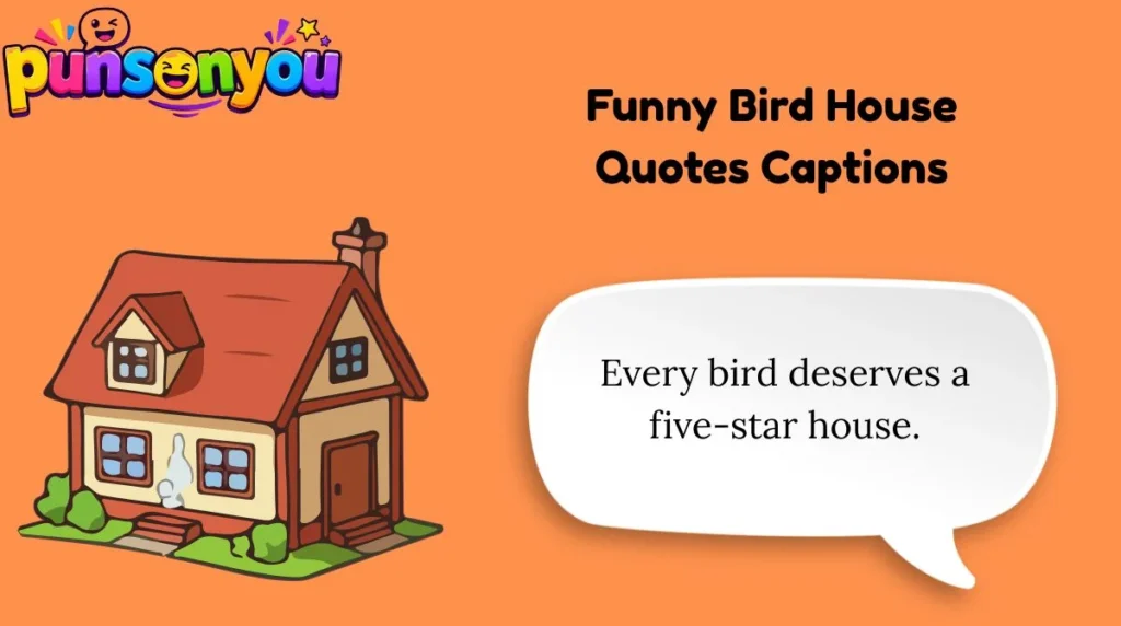 Funny Bird House Quotes Captions