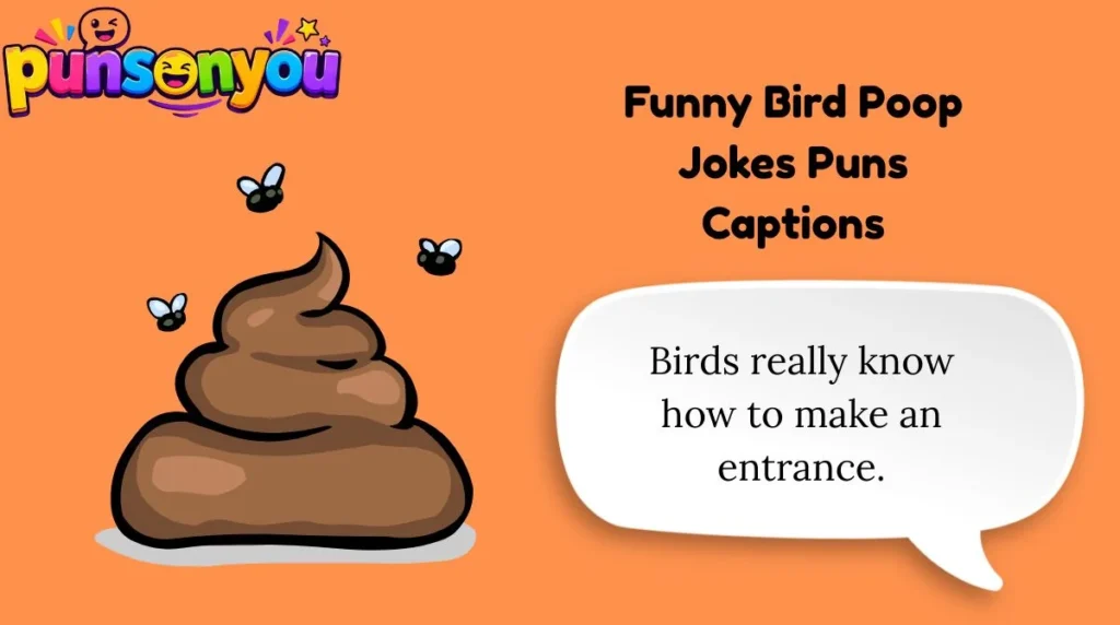 Funny Bird Poop Jokes Puns Captions