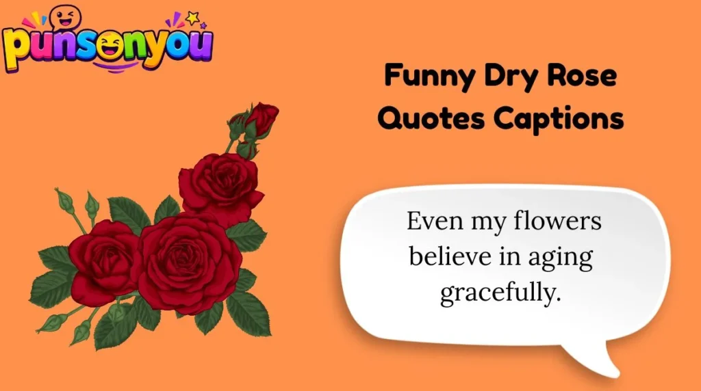 Funny Dry Rose Quotes Captions
