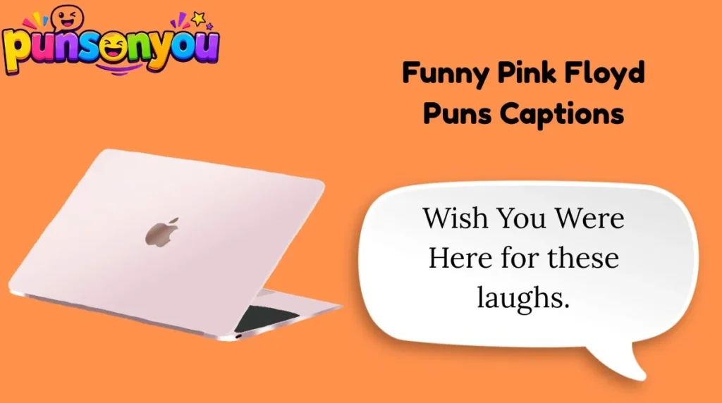Funny Pink Floyd Puns Captions