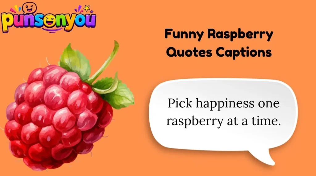 Funny Raspberry Quotes Captions