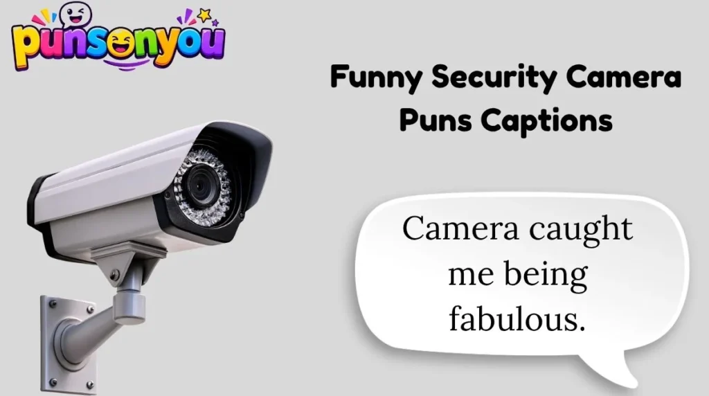 Funny Security Camera Puns Captions