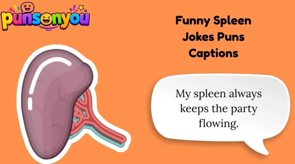Funny Spleen Jokes Puns Captions