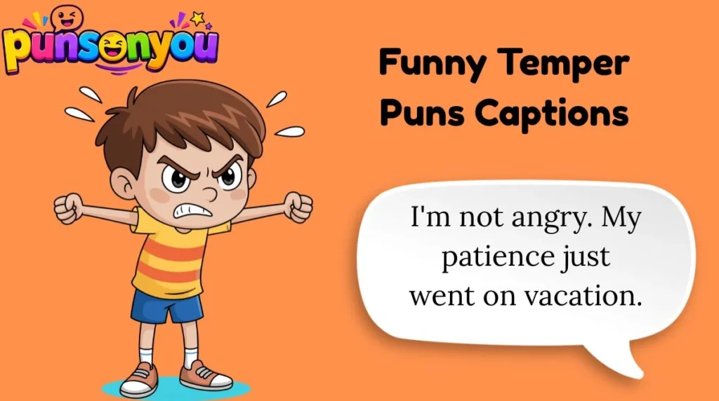 Funny Temper Puns Captions