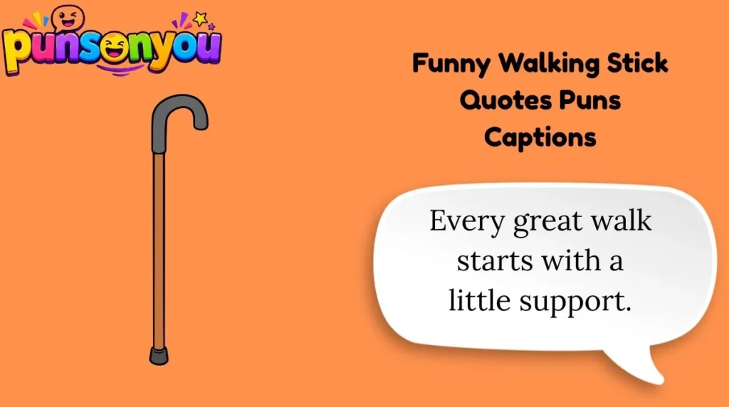 Funny Walking Stick Quotes Puns Captions