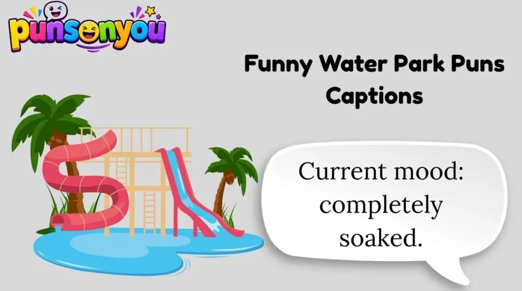 Funny Water Park Puns Captions