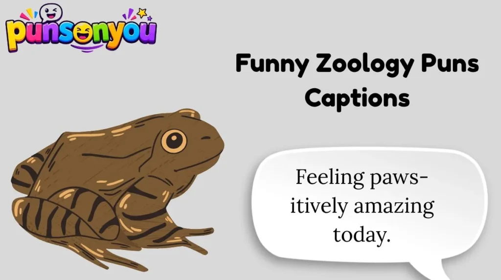 Funny Zoology Puns Captions