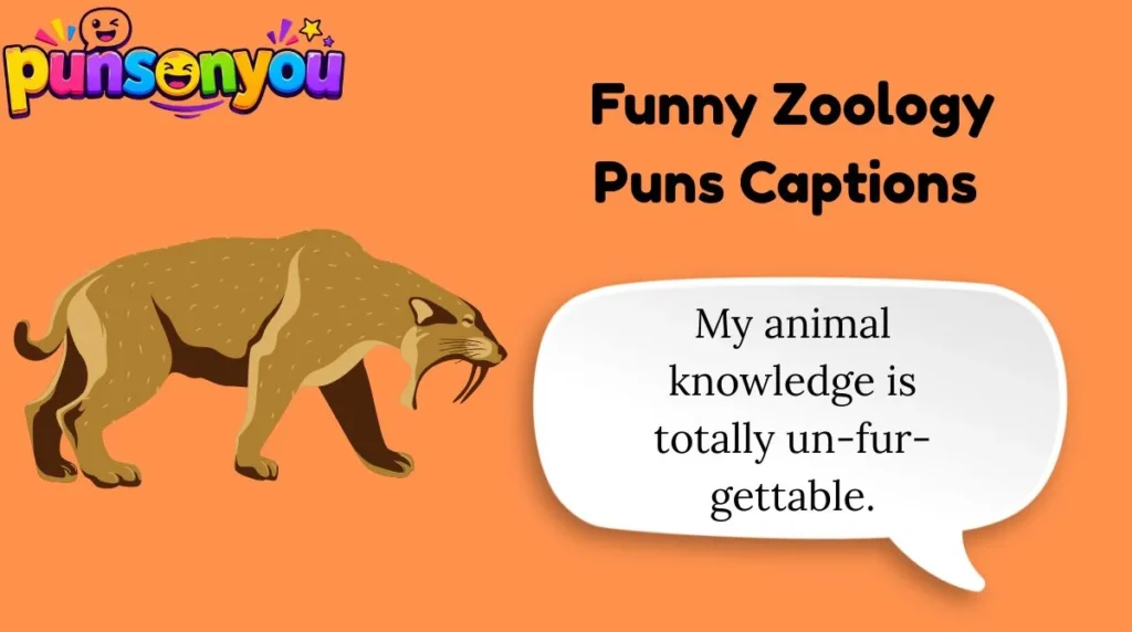 Funny Zoology Puns Captions 🐾