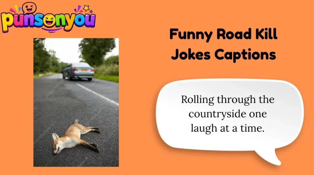 Funny Road Kill Jokes Captions