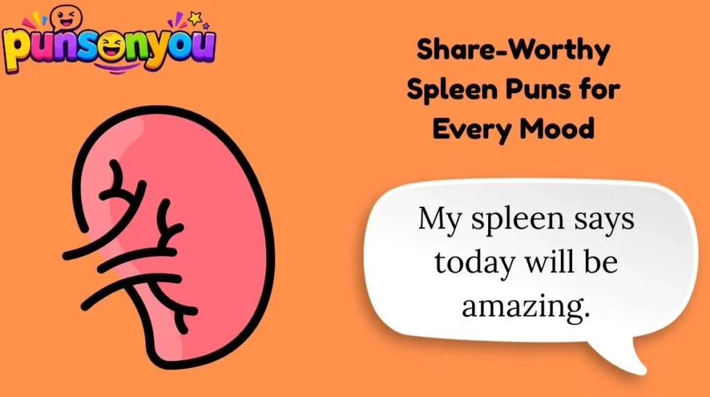 Share-Worthy Spleen Puns for Every Mood