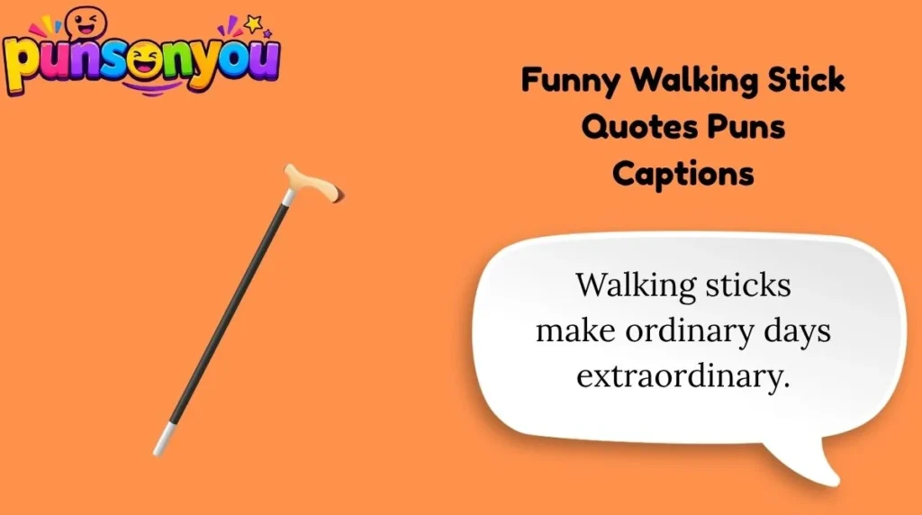 Share-Worthy Walking Stick Quotes Puns for Every Mood