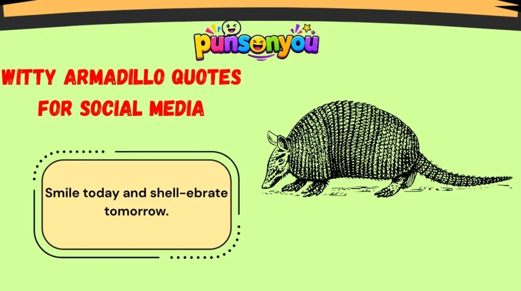 Witty Armadillo Quotes for Social Media