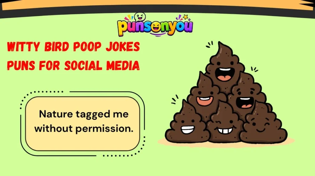 Witty Bird Poop Jokes Puns for Social Media