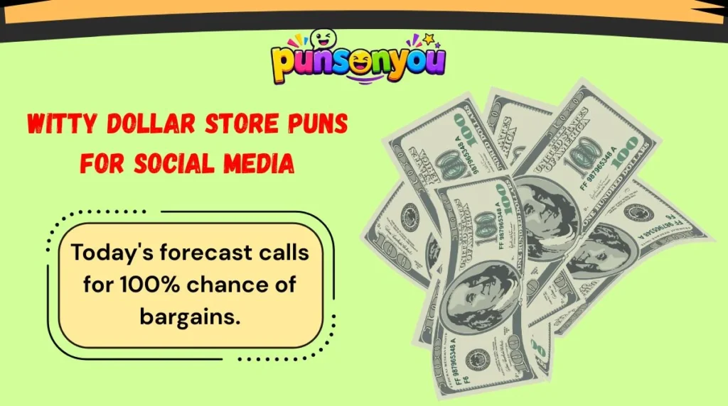 Witty Dollar Store Puns for Social Media