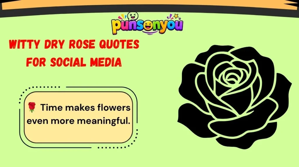 Witty Dry Rose Quotes for Social Media