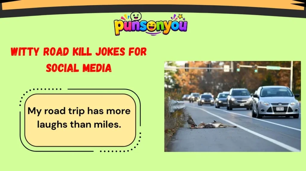 Witty Road Kill Jokes for Social Media