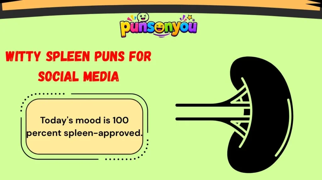 Witty Spleen Puns for Social Media