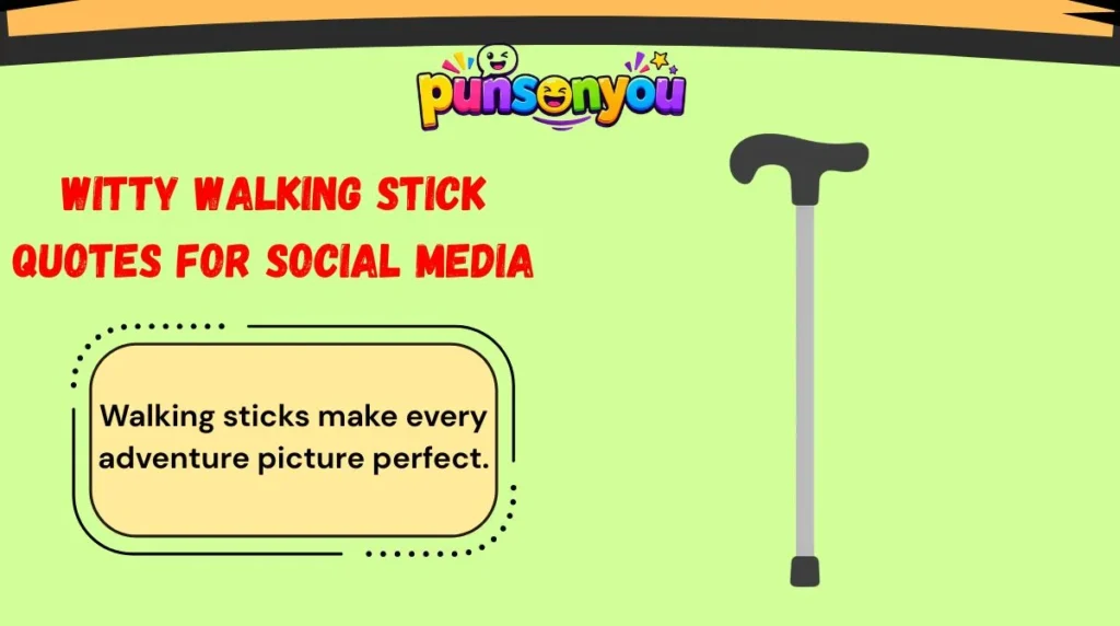 Witty Walking Stick Quotes for Social Media