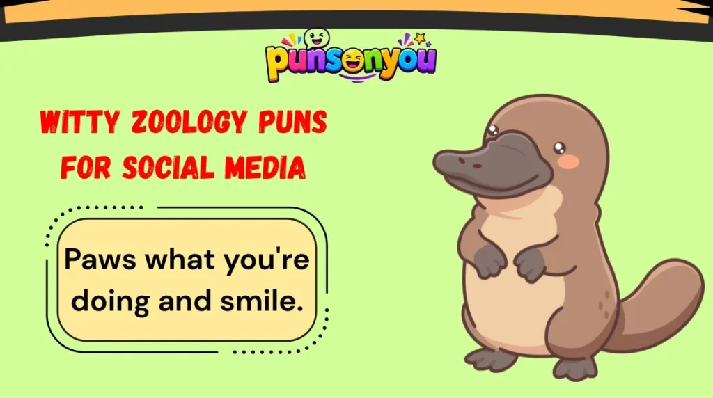 Witty Zoology Puns for Social Media