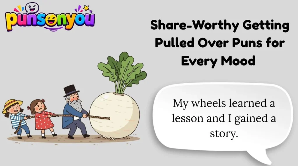 Share-Worthy Getting Pulled Over Puns for Every Mood