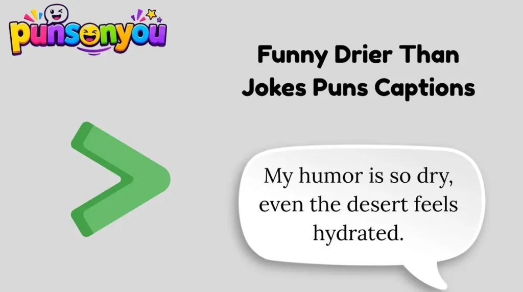 Funny Drier Than Jokes Puns Captions