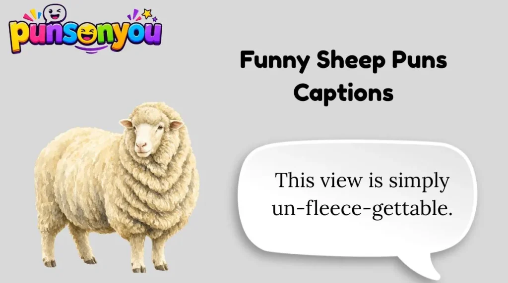 Funny Sheep Puns Captions