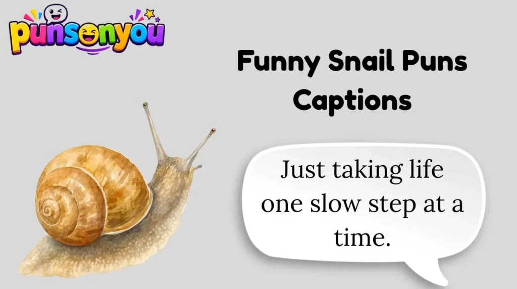 Funny Snail Puns Captions