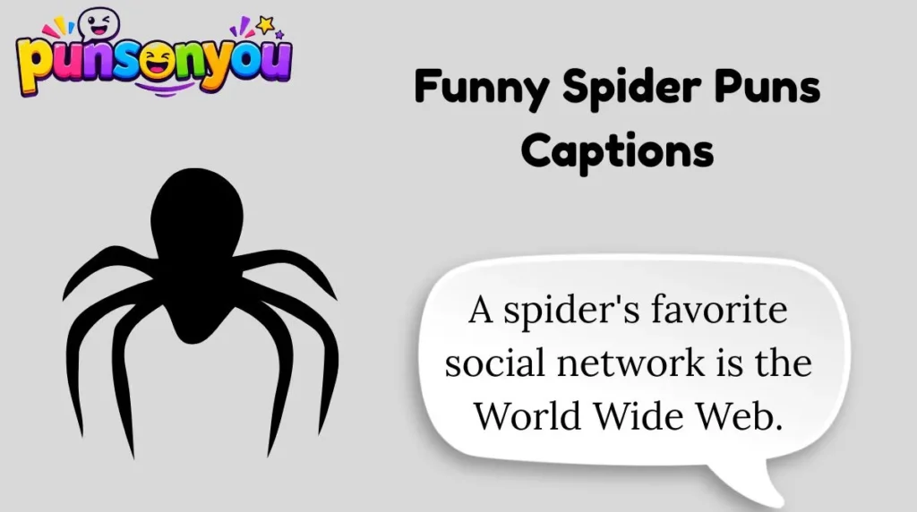 Funny Spider Puns Captions