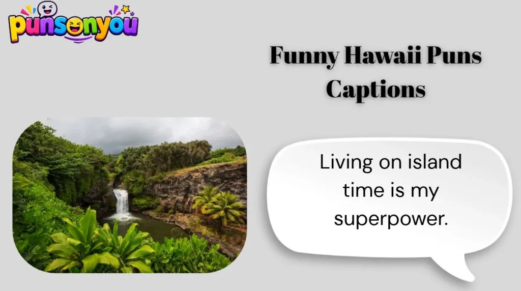 Funny Hawaii Puns Captions