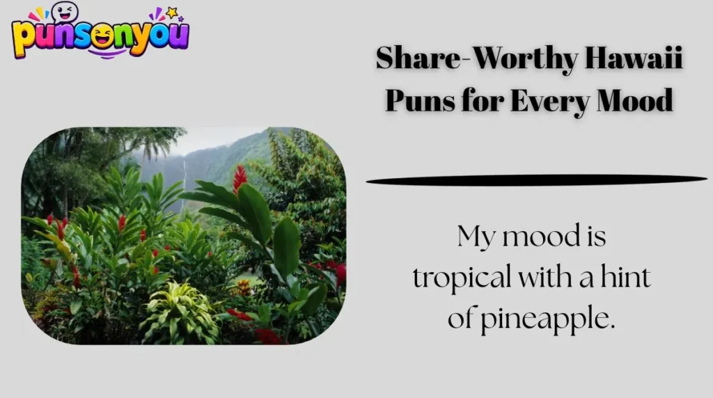 Share-Worthy Hawaii Puns for Every Mood