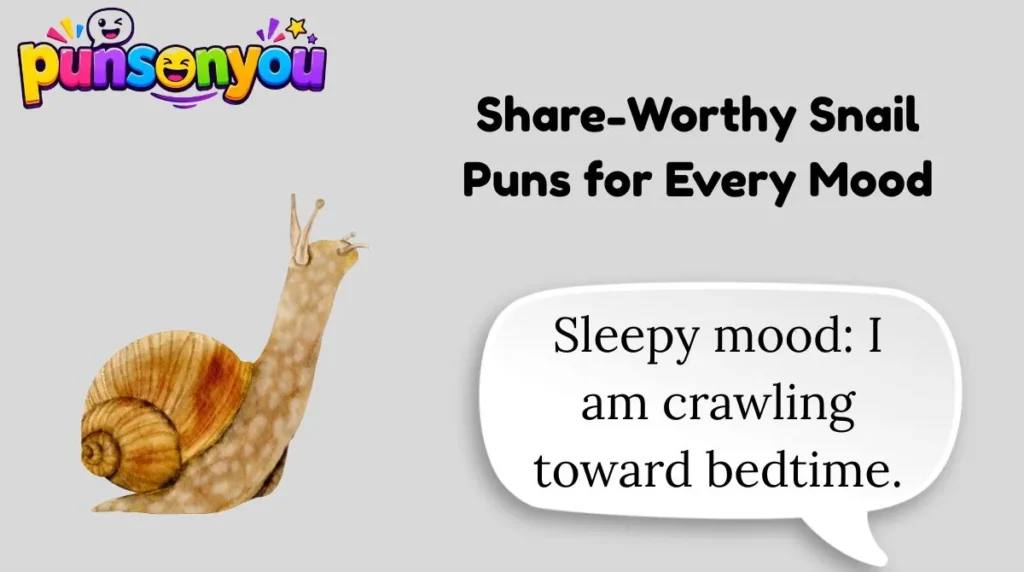 Share-Worthy Snail Puns for Every Mood