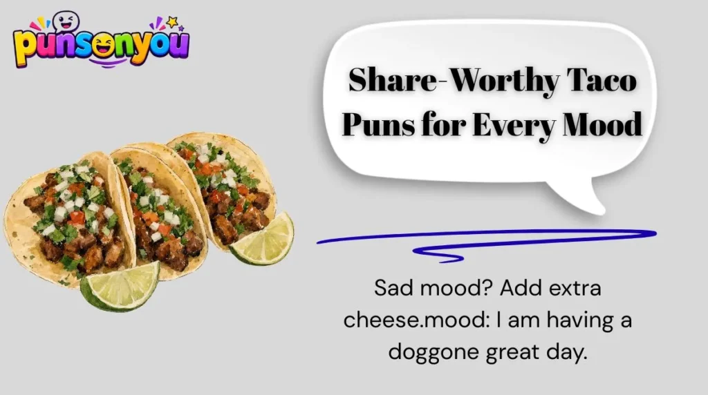 Share-Worthy Taco Puns for Every Mood
