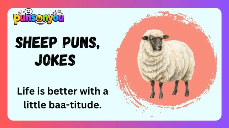Sheep Puns, Jokes