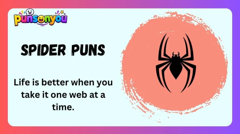 Spider Puns