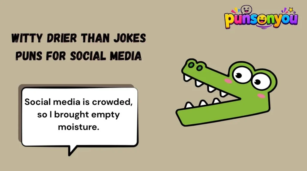 Witty Drier Than Jokes Puns for Social Media