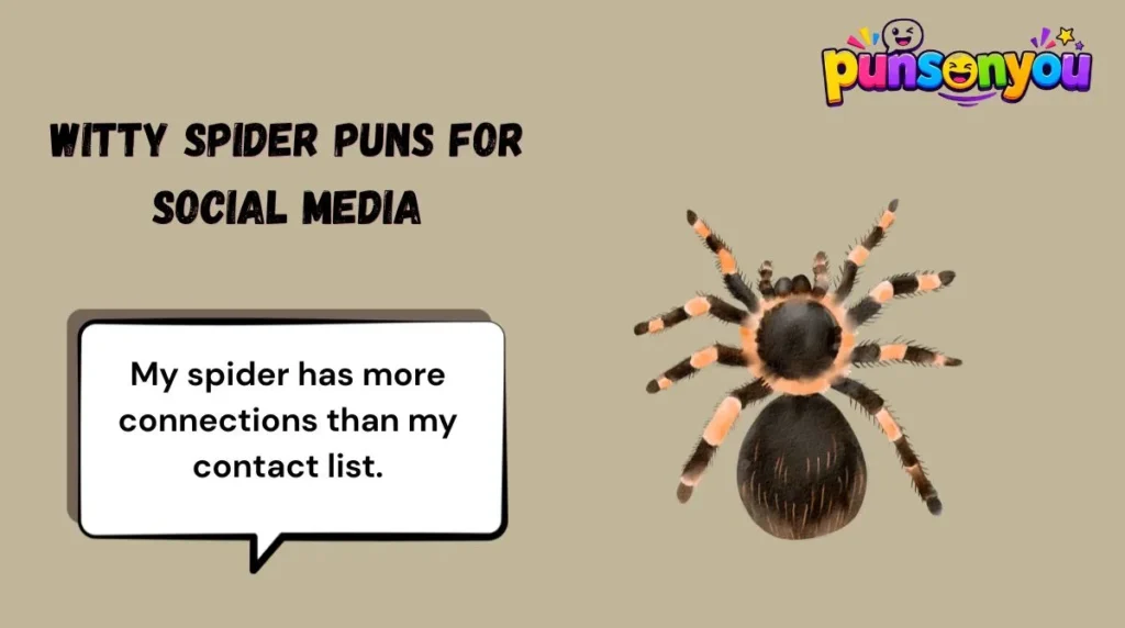 Witty Spider Puns for Social Media